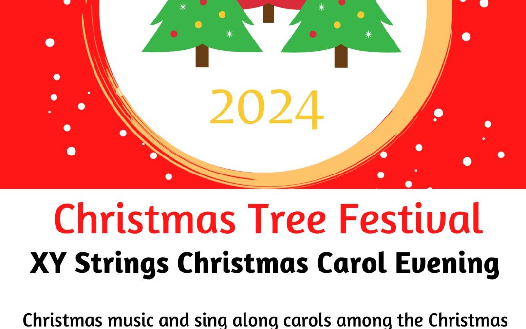 X Y Strings Christmas Concert – Tuesday 10 December 6.30pm